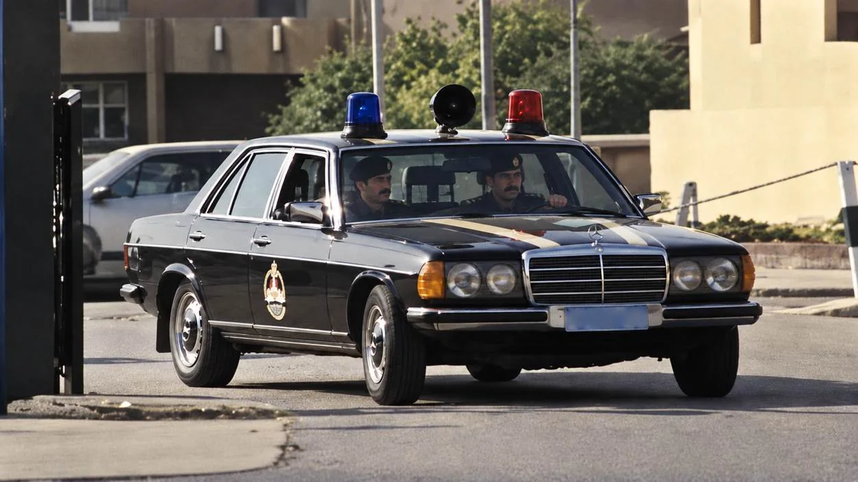 صورة من المقالة