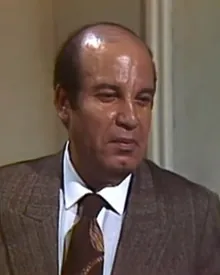 عادل الشناوي