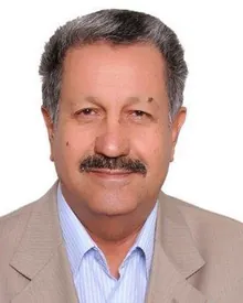 صلاح كرم