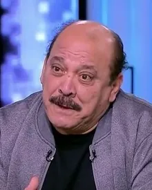 ضياء الميرغني