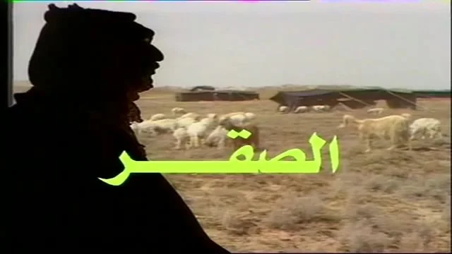 الصقر