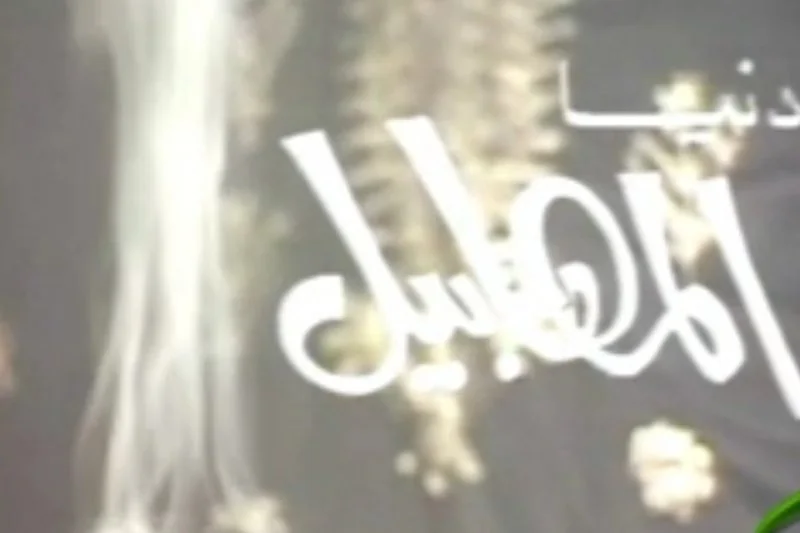 دنيا المهابيل
