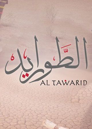 الطواريد